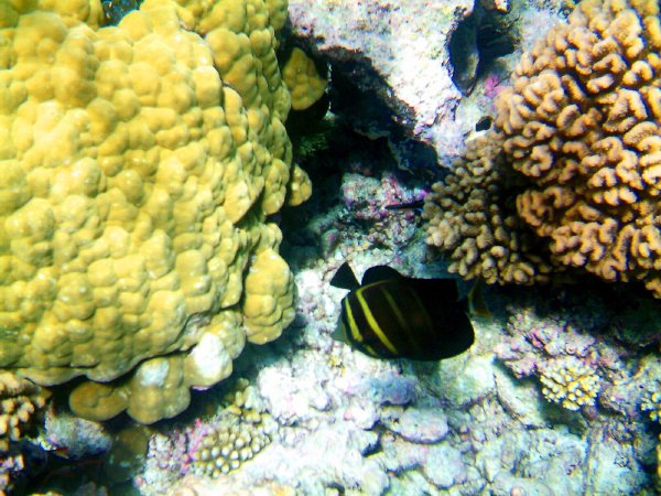 Hold still for your photo.